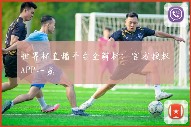 世界杯直播平台全解析：官方授权APP一览