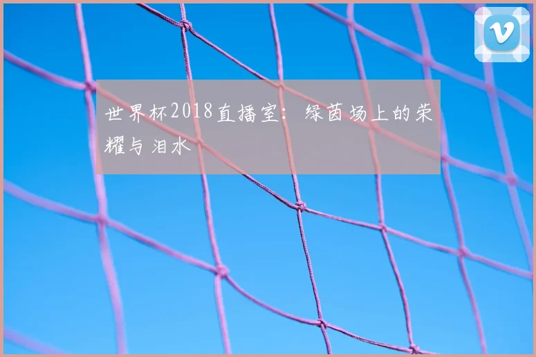 世界杯2018直播室：绿茵场上的荣耀与泪水