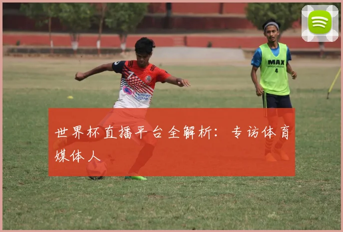 世界杯直播平台全解析：专访体育媒体人