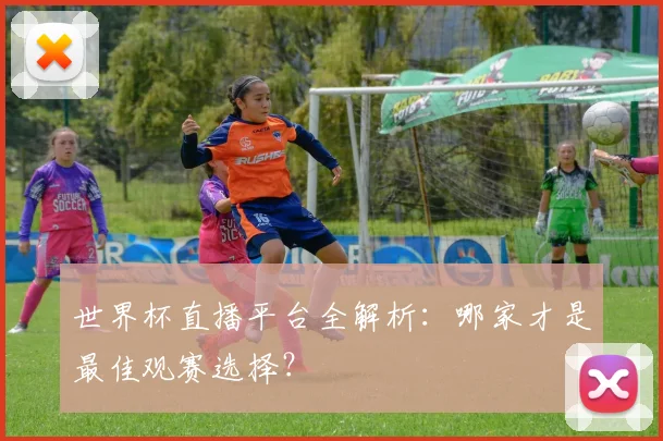 世界杯直播平台全解析：哪家才是最佳观赛选择？
