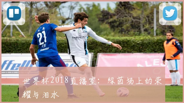世界杯2018直播室：绿茵场上的荣耀与泪水