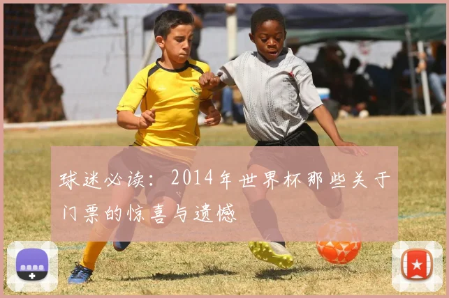 球迷必读:2014年世界杯那些关于门票的惊喜与遗憾