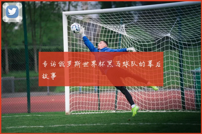专访俄罗斯世界杯黑马球队的幕后故事