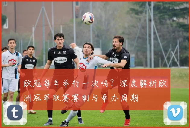 欧冠每年举行一次吗？深度解析欧洲冠军联赛赛制与举办周期
