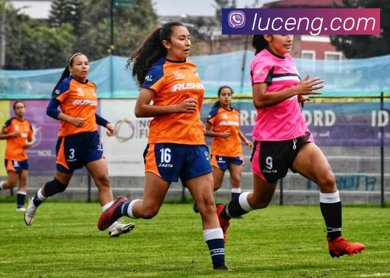 米兰网官网登录入口品牌故事